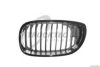 TRUCKTEC AUTOMOTIVE 08.62.229 Radiator Grille